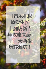 音乐扎根 热爱生长丨潍坊新青年攻略来袭，三天两夜玩转潍坊！