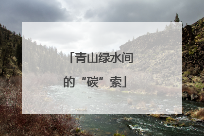 青山绿水间的“碳”索