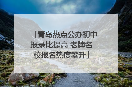 青岛热点公办初中报录比提高 老牌名校报名热度攀升