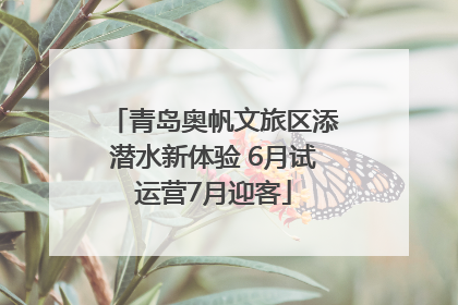 青岛奥帆文旅区添潜水新体验 6月试运营7月迎客