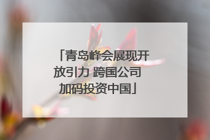 青岛峰会展现开放引力 跨国公司加码投资中国