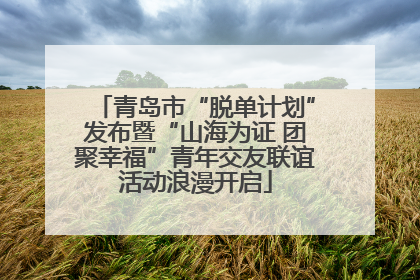 青岛市“脱单计划”发布暨“山海为证 团聚幸福”青年交友联谊活动浪漫开启