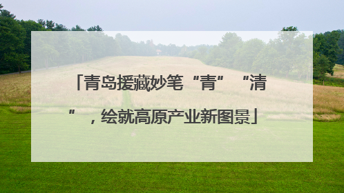青岛援藏妙笔“青”“清”，绘就高原产业新图景