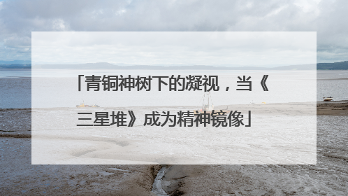 青铜神树下的凝视，当《三星堆》成为精神镜像