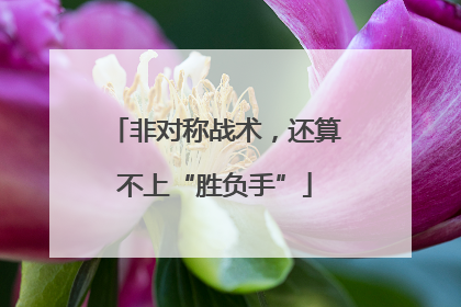 非对称战术，还算不上“胜负手”