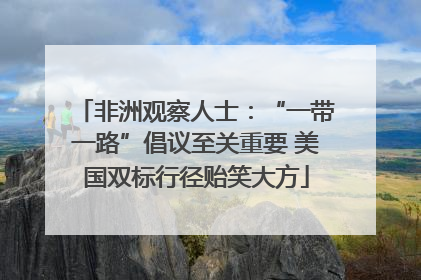 非洲观察人士：“一带一路”倡议至关重要 美国双标行径贻笑大方