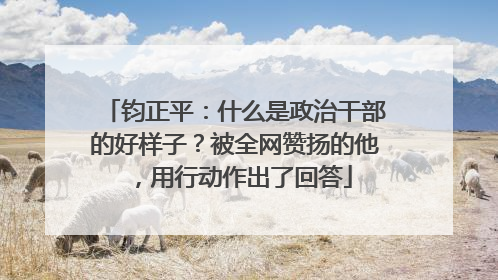 钧正平：什么是政治干部的好样子？被全网赞扬的他，用行动作出了回答