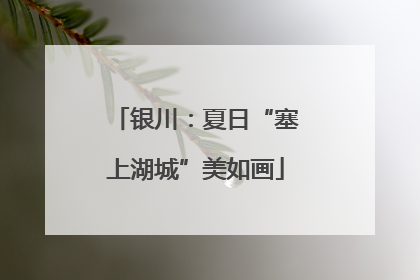 银川：夏日“塞上湖城”美如画