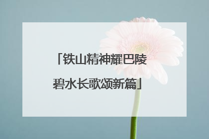 铁山精神耀巴陵 碧水长歌颂新篇