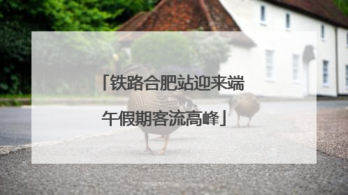 铁路合肥站迎来端午假期客流高峰