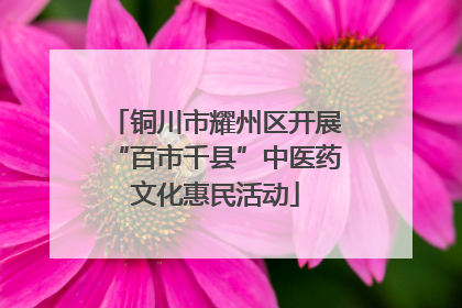 铜川市耀州区开展“百市千县”中医药文化惠民活动