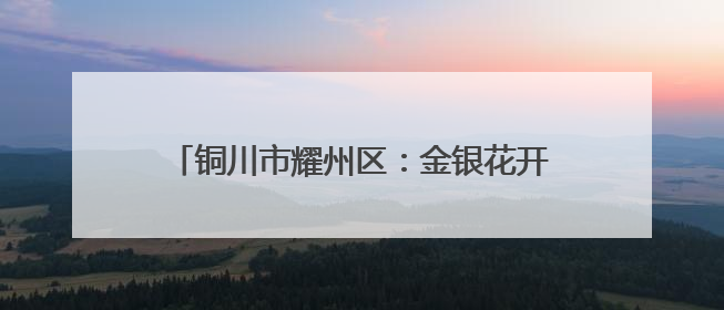 铜川市耀州区：金银花开促振兴 志愿助农暖人心