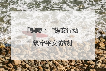 铜陵：“铸安行动”筑牢平安防线