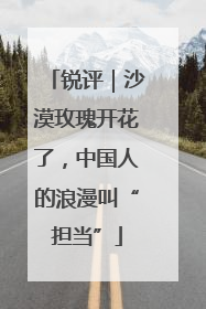 锐评｜沙漠玫瑰开花了，中国人的浪漫叫“担当”