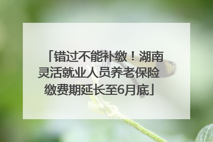 错过不能补缴！湖南灵活就业人员养老保险缴费期延长至6月底