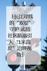 长江岸线的“双堤”守护 武昌社区防溺引入“1米高度”治理视角