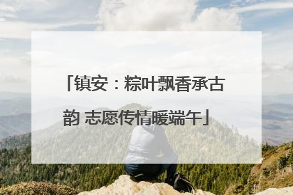镇安：粽叶飘香承古韵 志愿传情暖端午