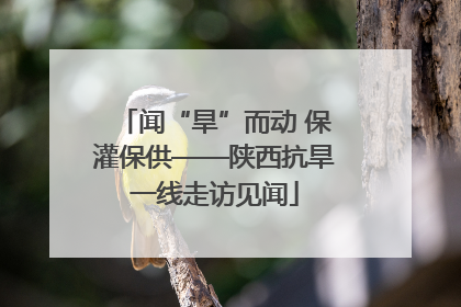 闻“旱”而动 保灌保供——陕西抗旱一线走访见闻