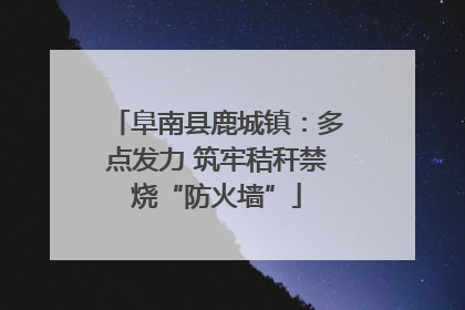 阜南县鹿城镇：多点发力 筑牢秸秆禁烧“防火墙”