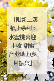 阳新三溪镇上余村：水蜜桃喜迎丰收 甜蜜产业助力乡村振兴