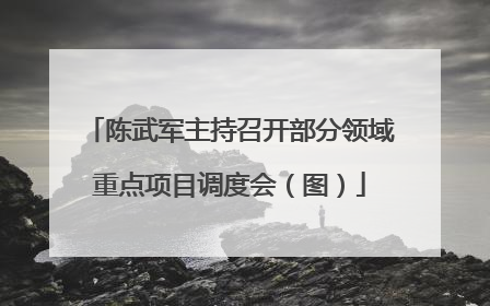 陈武军主持召开部分领域重点项目调度会（图）