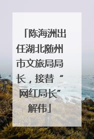 陈海洲出任湖北随州市文旅局局长，接替“网红局长”解伟