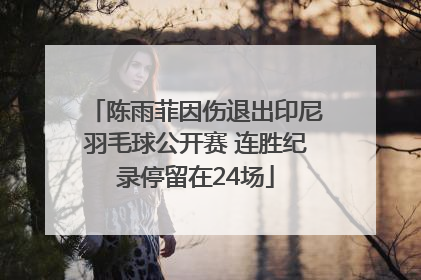 陈雨菲因伤退出印尼羽毛球公开赛 连胜纪录停留在24场
