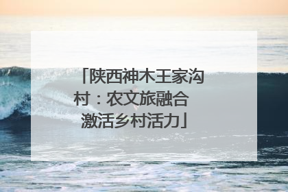陕西神木王家沟村：农文旅融合 激活乡村活力