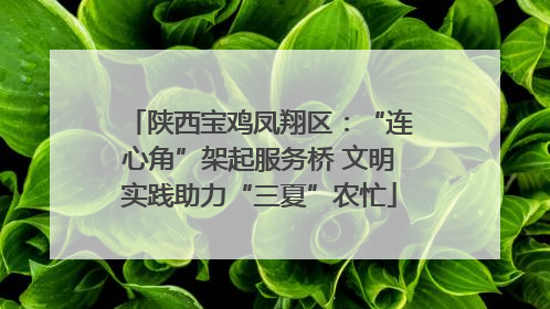陕西宝鸡凤翔区：“连心角”架起服务桥 文明实践助力“三夏”农忙