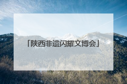 陕西非遗闪耀文博会