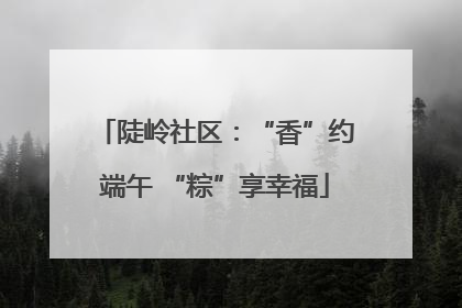 陡岭社区：“香”约端午 “粽”享幸福