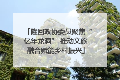 隆回政协委员聚焦“亿年龙洞” 推动文旅融合赋能乡村振兴