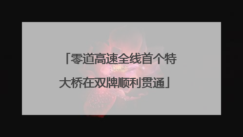 零道高速全线首个特大桥在双牌顺利贯通