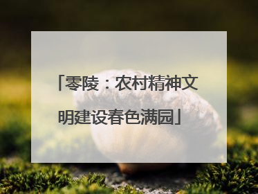 零陵：农村精神文明建设春色满园
