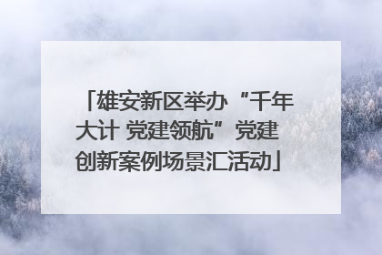 雄安新区举办“千年大计 党建领航”党建创新案例场景汇活动