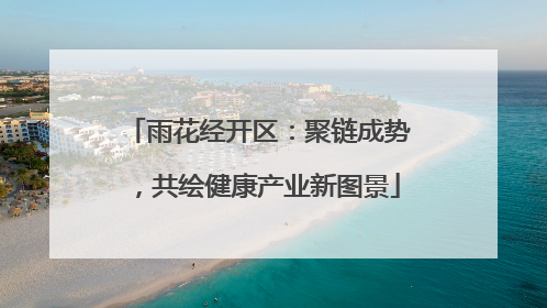 雨花经开区：聚链成势，共绘健康产业新图景