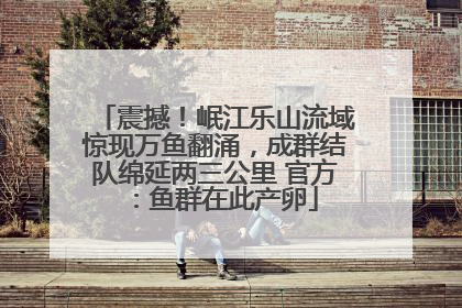 震撼！岷江乐山流域惊现万鱼翻涌，成群结队绵延两三公里 官方：鱼群在此产卵