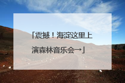 震撼！海淀这里上演森林音乐会→
