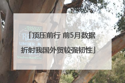 顶压前行 前5月数据折射我国外贸较强韧性