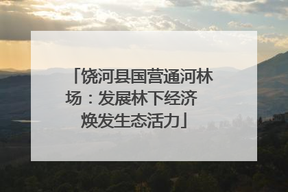 饶河县国营通河林场：发展林下经济 焕发生态活力