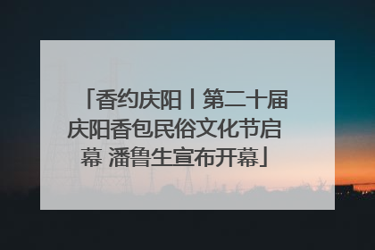 香约庆阳丨第二十届庆阳香包民俗文化节启幕 潘鲁生宣布开幕