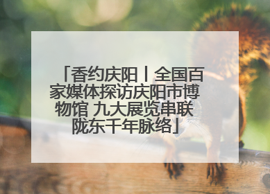 香约庆阳丨全国百家媒体探访庆阳市博物馆 九大展览串联陇东千年脉络