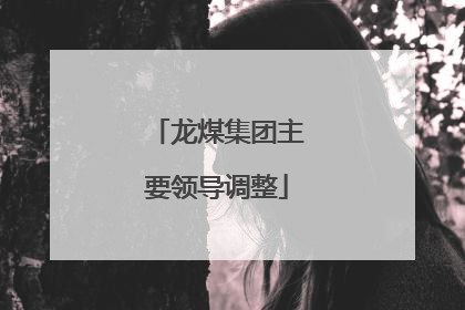 龙煤集团主要领导调整