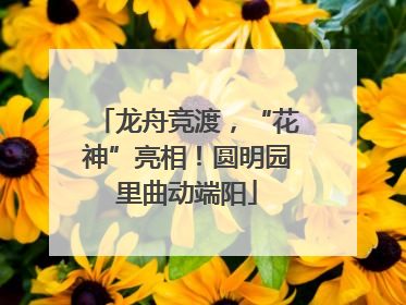 龙舟竞渡，“花神”亮相！圆明园里曲动端阳