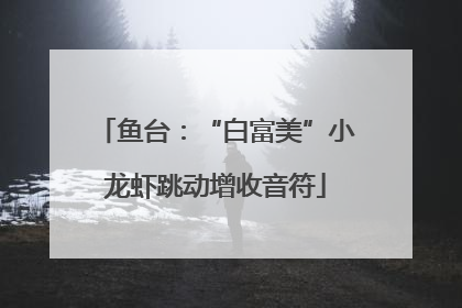 鱼台：“白富美”小龙虾跳动增收音符