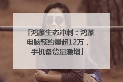 鸿蒙生态冲刺：鸿蒙电脑预约量超12万，手机备货量激增