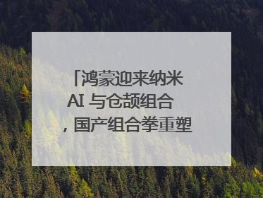 鸿蒙迎来纳米 AI 与仓颉组合，国产组合拳重塑AI搜索体验｜新经济观察