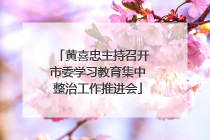 黄喜忠主持召开市委学习教育集中整治工作推进会