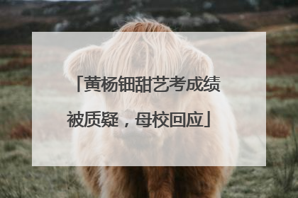 黄杨钿甜艺考成绩被质疑，母校回应
