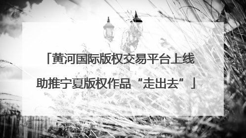 黄河国际版权交易平台上线 助推宁夏版权作品“走出去”